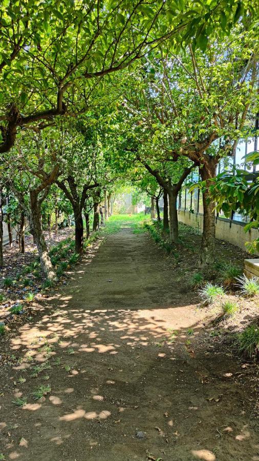 B&B D'Avino Pagani Εξωτερικό φωτογραφία