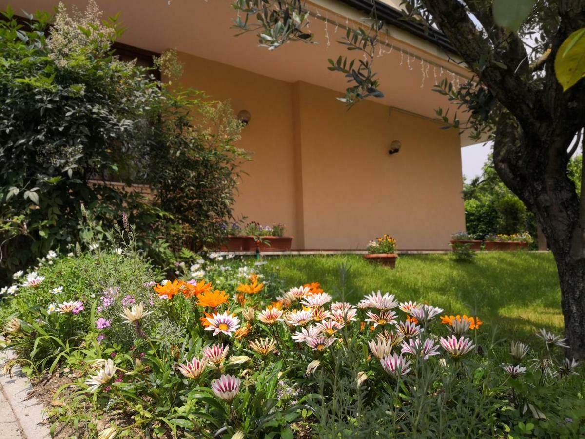 B&B D'Avino Pagani Εξωτερικό φωτογραφία