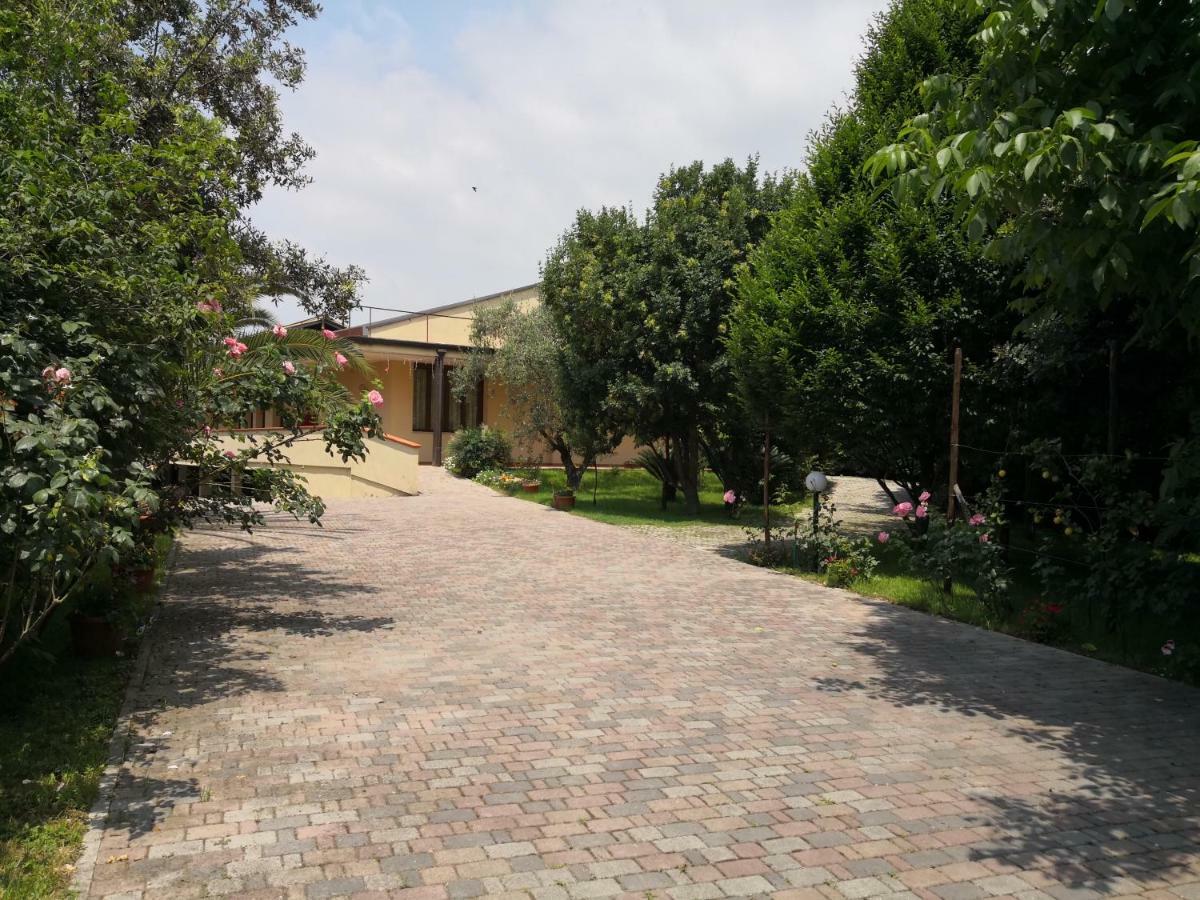 B&B D'Avino Pagani Εξωτερικό φωτογραφία