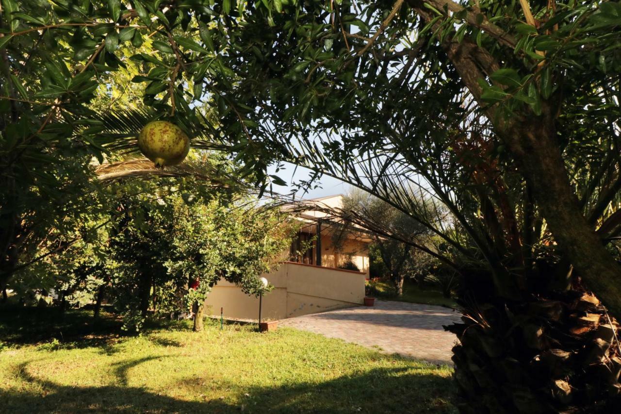 B&B D'Avino Pagani Εξωτερικό φωτογραφία